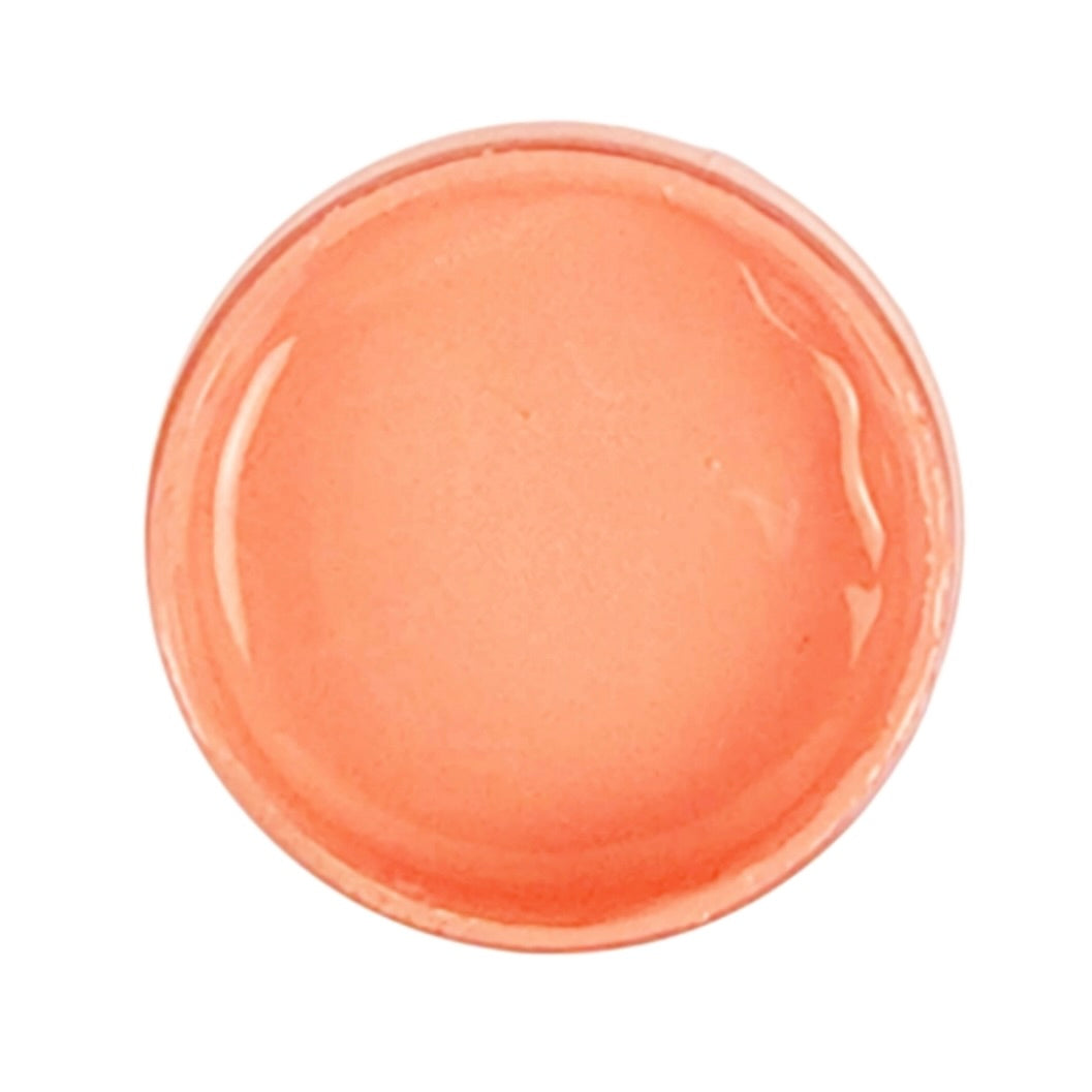Caribbean Coral Acrylic Mineral Paint | Paint Couture