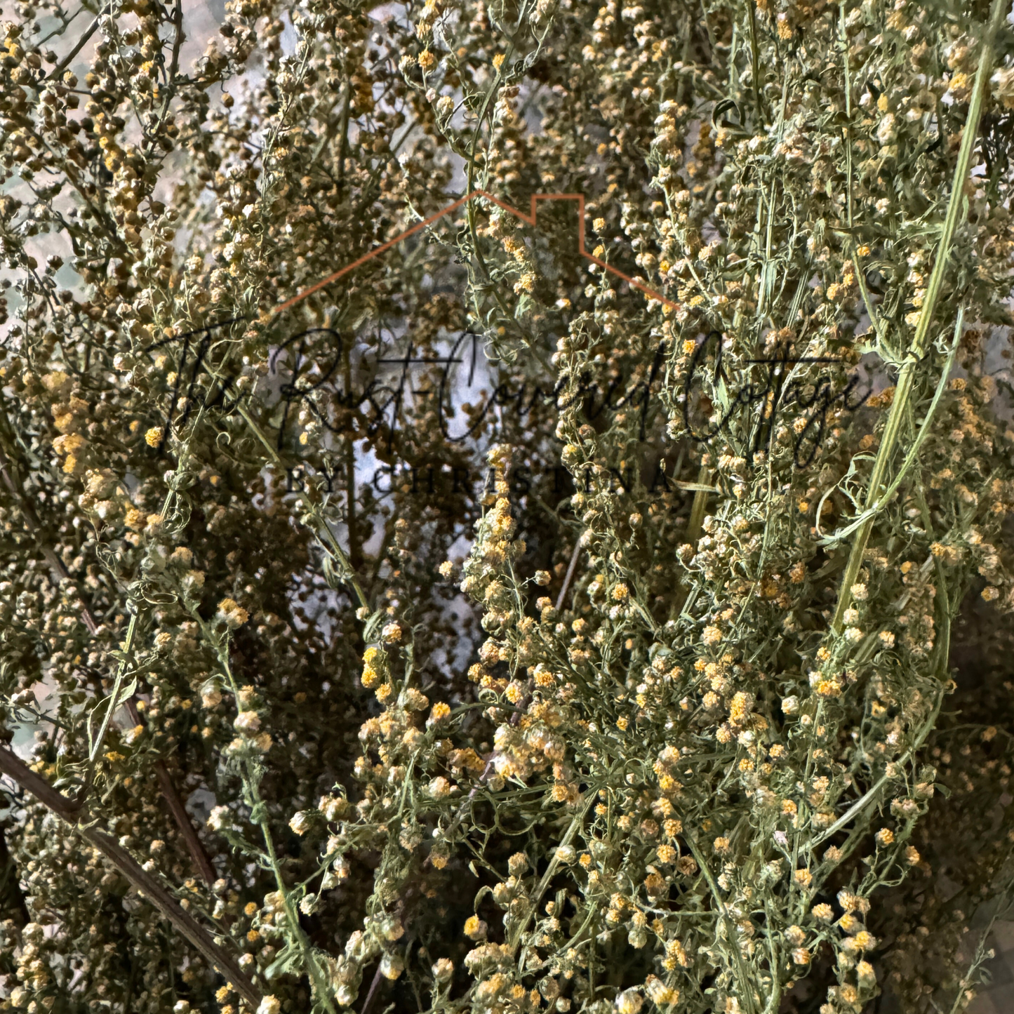 Sweet Annie Dried Floral Bundle | Rustic Farmhouse & Cottage Décor