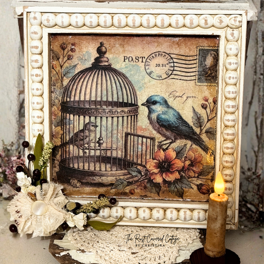 Vintage Framed Bird Image-FINISHED