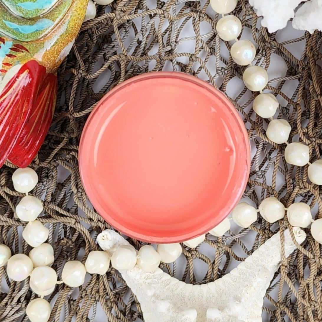Caribbean Coral Acrylic Mineral Paint | Paint Couture