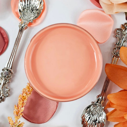 Coral Passion Acrylic Mineral Paint | Paint Couture