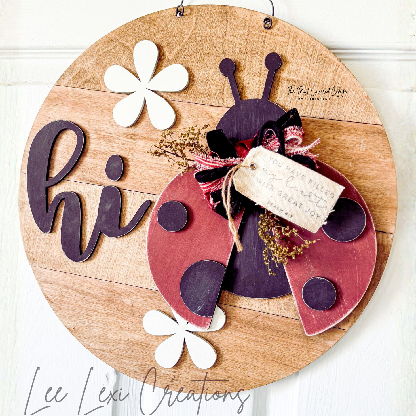 "Hi" Ladybug Door Hanger DIY Wood Kit